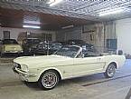 1964 1/2 Ford Mustang Picture 2