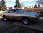 1969 Pontiac Firebird Picture 2