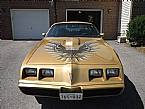 1979 Pontiac Trans Am Picture 2