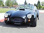 1965 Shelby Cobra Picture 2