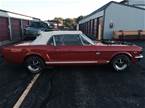 1965 Ford Mustang Picture 2