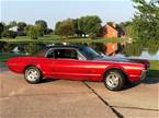1967 Mercury Cougar Picture 2