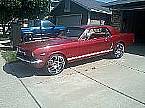 1965 Ford Mustang Picture 2