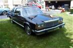 1981 Ford Crown Victoria Picture 2