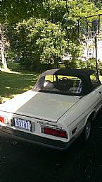 1979 Alfa Romeo Spider Picture 2
