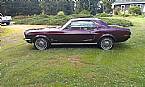 1968 Ford Mustang Picture 2