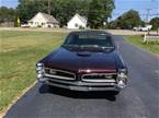 1966 Pontiac GTO Picture 2