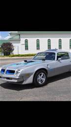 1976 Pontiac Trans Am Picture 2