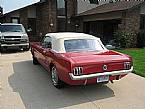 1965 Ford Mustang Picture 2