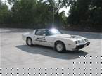 1981 Pontiac Trans Am Picture 2
