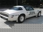 1981 Pontiac Firebird Picture 2