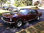 1966 Ford Mustang Picture 2