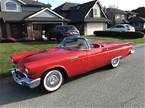 1957 Ford Thunderbird Picture 2