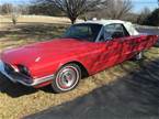 1966 Ford Thunderbird  Picture 2