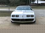 1979 Pontiac Trans Am Picture 2