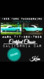 1955 Ford Thunderbird Picture 2