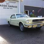 1966 Ford Mustang Picture 2