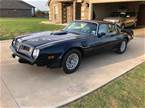 1975 Pontiac Firebird Picture 2