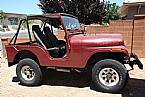 1971 Jeep CJ5 Picture 2