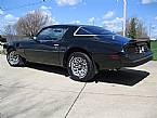 1978 Pontiac Firebird Picture 2