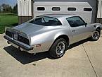 1975 Pontiac Firebird Picture 2