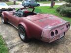 1980 Chevrolet Corvette  Picture 2