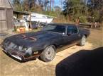 1979 Pontiac Firebird Picture 2