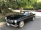 1967 Volvo 1800S Picture 2