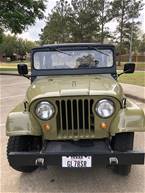 1966 Willys CJ-5 Picture 2