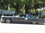 1975 Chevrolet Caprice Picture 2