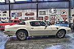 1976 Pontiac Trans Am Picture 2