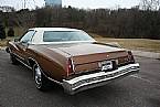 1974 Chevrolet Monte Carlo Picture 2