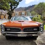 1967 Pontiac GTO Picture 2