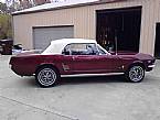 1966 Ford Mustang Picture 2