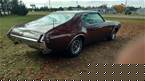 1969 Oldsmobile 442 Picture 2