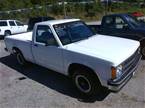 1991 Chevrolet S10 Picture 2