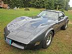 1981 Chevrolet Corvette Picture 2