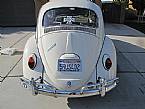 1966 Volkswagen Beetle Picture 2