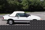 1983 Ford Mustang Picture 2