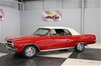 1965 Chevrolet Chevelle Picture 2