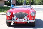 1954 Austin Healey 100 Picture 2