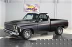 1979 Chevrolet Pickup Picture 2