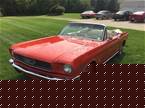 1966 Ford Mustang Picture 2
