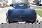 1981 Chevrolet Corvette Picture 2