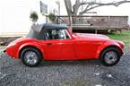 1986 Austin Healey Replica Picture 2