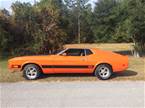 1973 Ford Mustang Picture 2