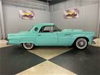 1955 Ford Thunderbird Picture 2