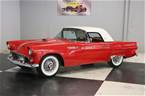 1955 Ford Thunderbird Picture 2