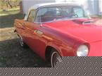 1955 Ford Thunderbird Picture 2