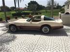 1979 Chevrolet Corvette Picture 2